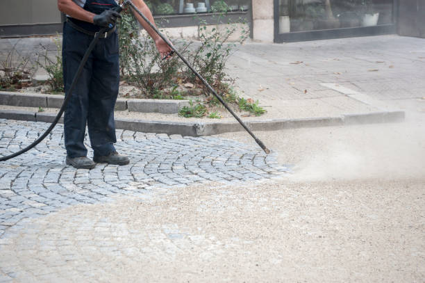 Best Sidewalk and Walkway Cleaning  in Romancoke, MD