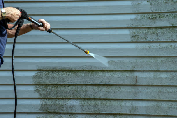 Best Roof Washing  in Romancoke, MD
