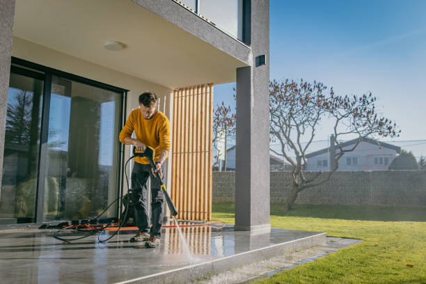 Best Driveway Pressure Washing  in Romancoke, MD