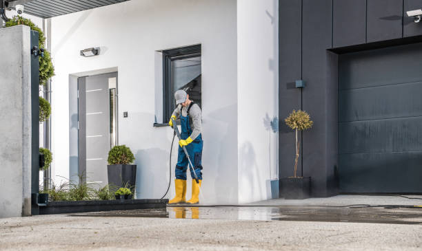 Best Building Exterior Washing  in Romancoke, MD